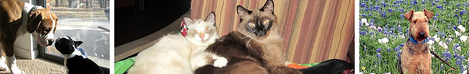 North Texas Raw Fed Pets